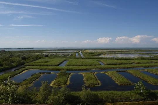 Appartamento Ca Vio beach Venezia Cavallino-Treporti Esterno foto